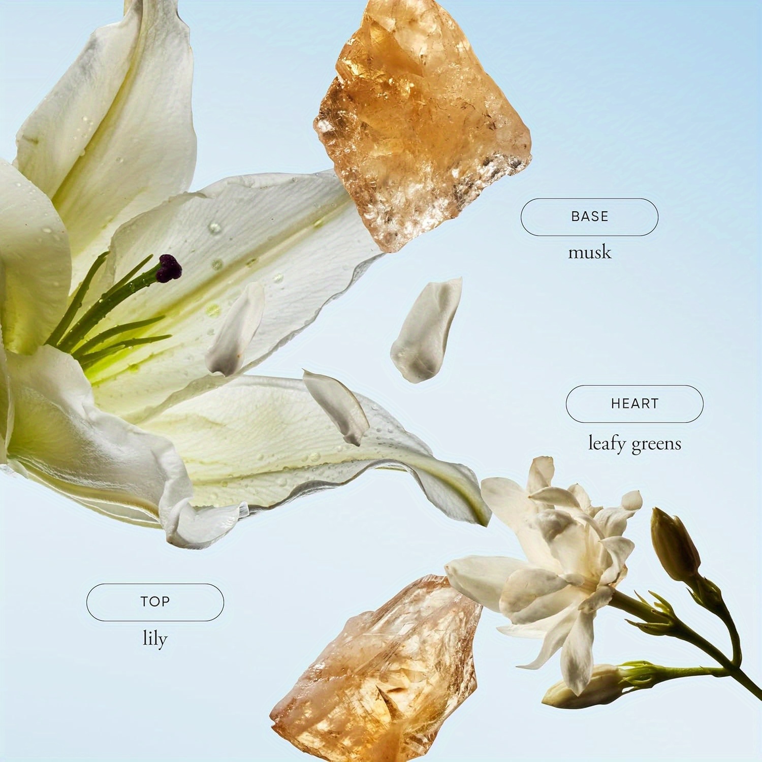 Amazing Grace Eau De Parfum In - مراجعة Perfume Juicy Fragrance وسعره