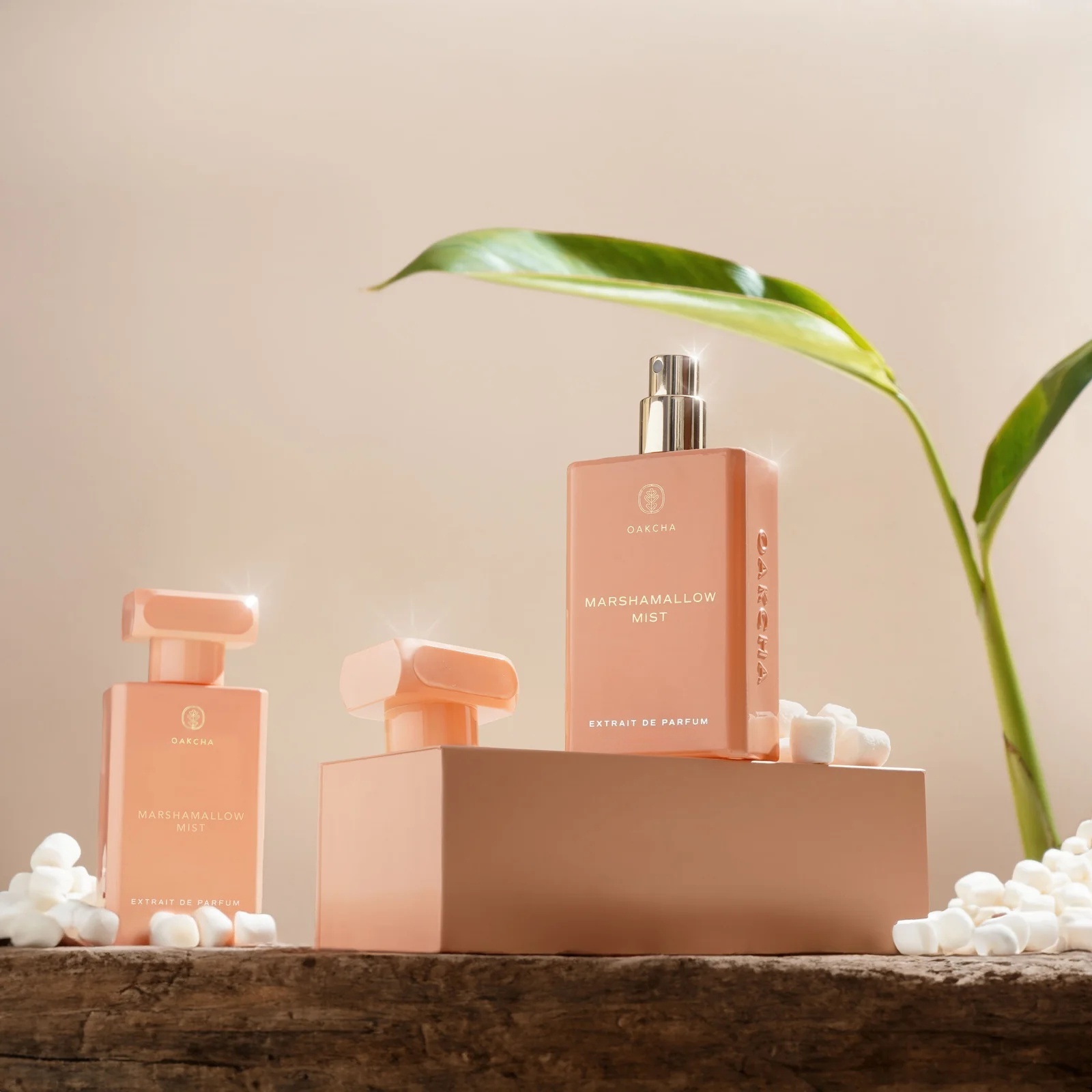 OAKCHA Marshmallow Mist Perfum - مراجعة Perfume Juicy Fragrance وسعره